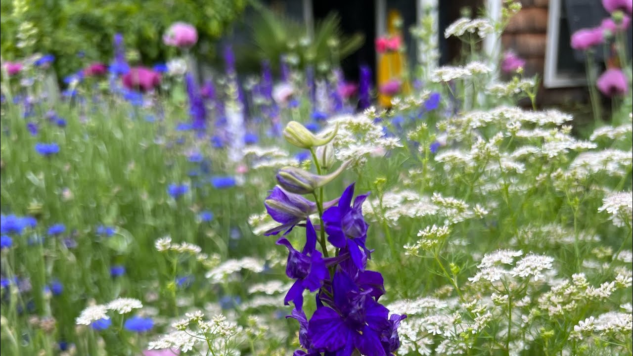 Creating a North Carolina Cottage Garden