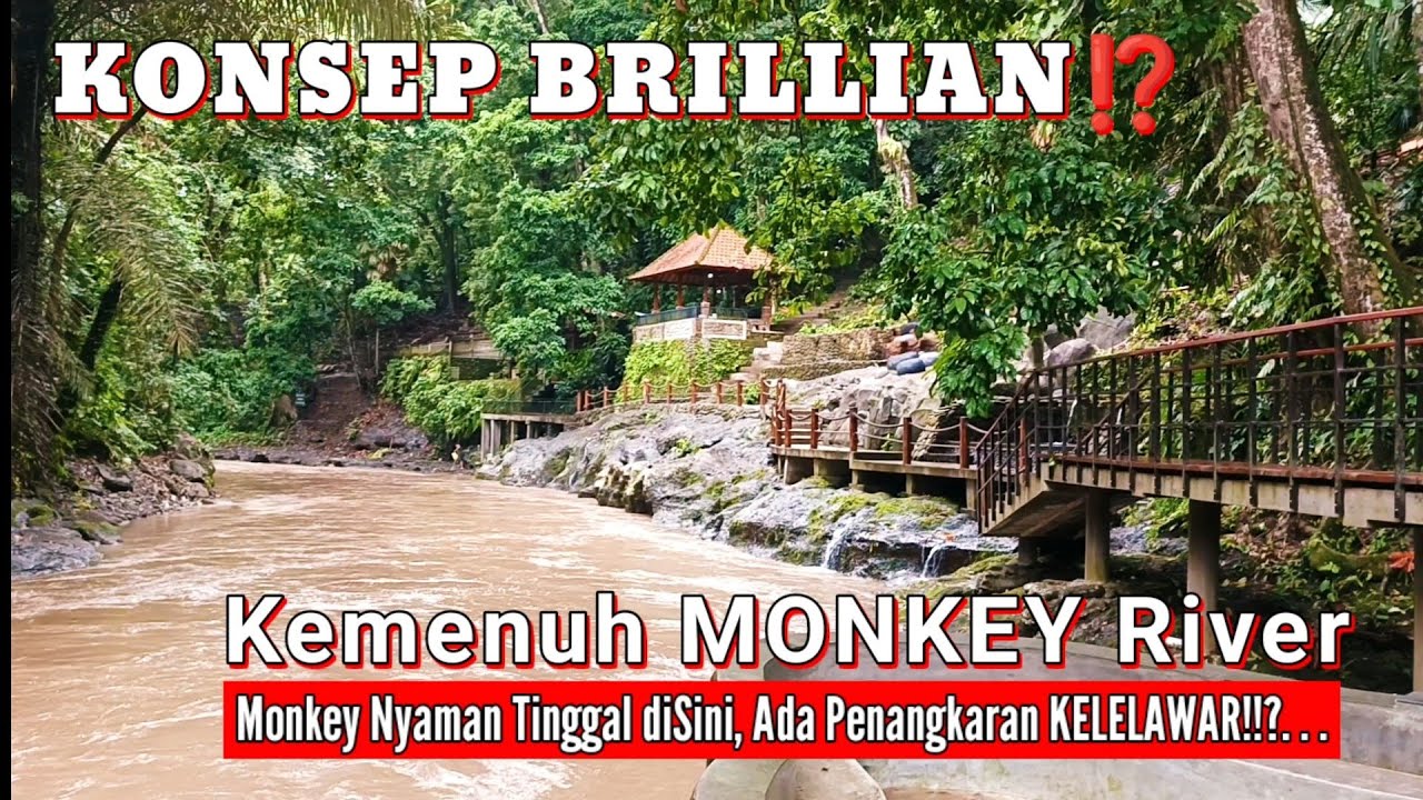 KAMPUNG Keren untuk Para MONKEY dan KELELAWAR di Kemenuh Monkey River Gianyar Bali (19/3/2025)