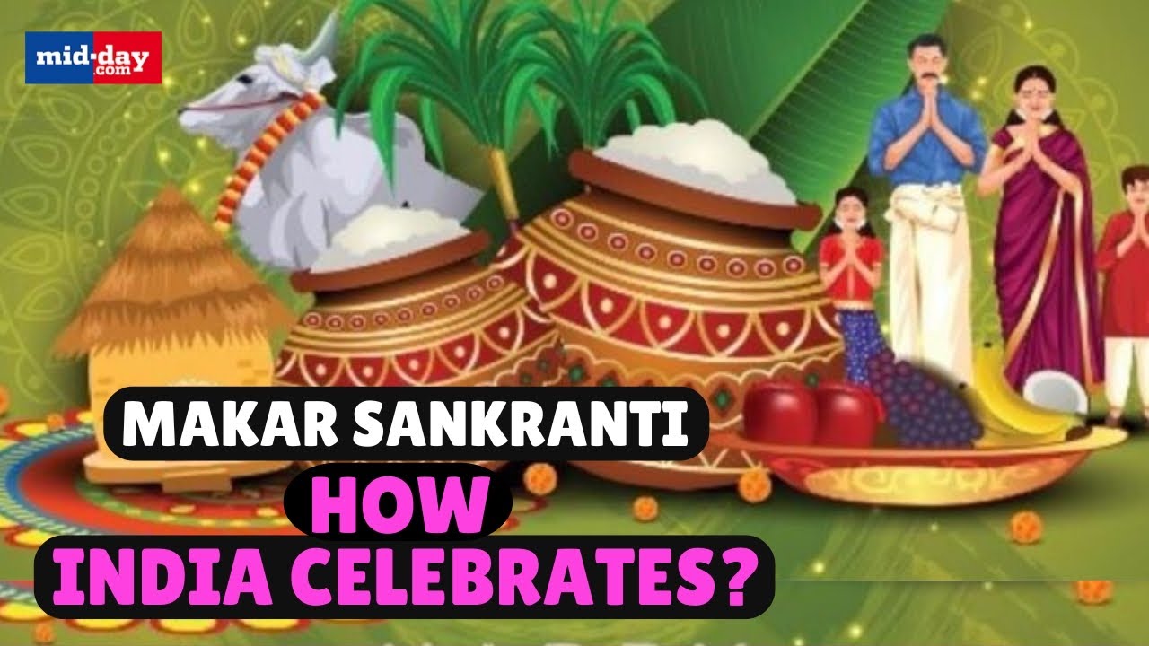 Makar Sankranti 2025: Why is Makar Sankranti celebrated & how does India celebrate it through food?