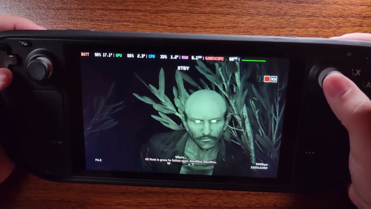 Outlast 2 on the Steam Deck! A fun edgy horror experience for the whole family?