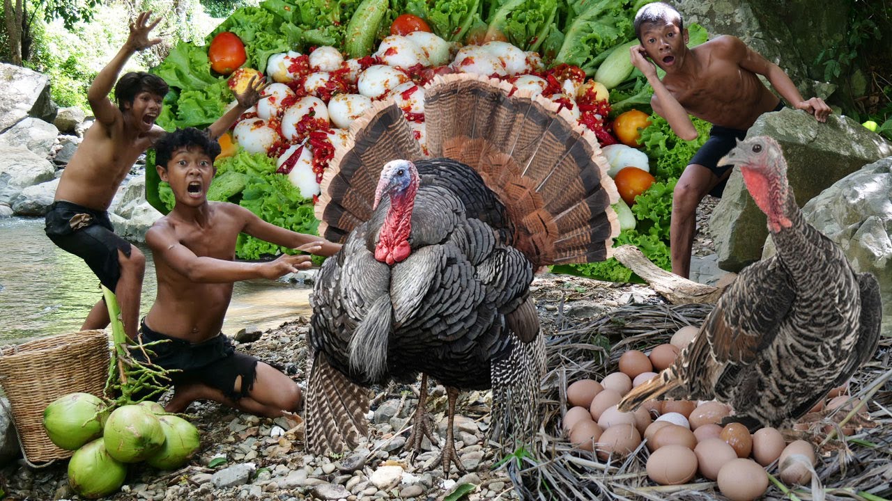 Primitive Technology - See Turkey Bird Cooking Egg With Coconut - Eating Delicious