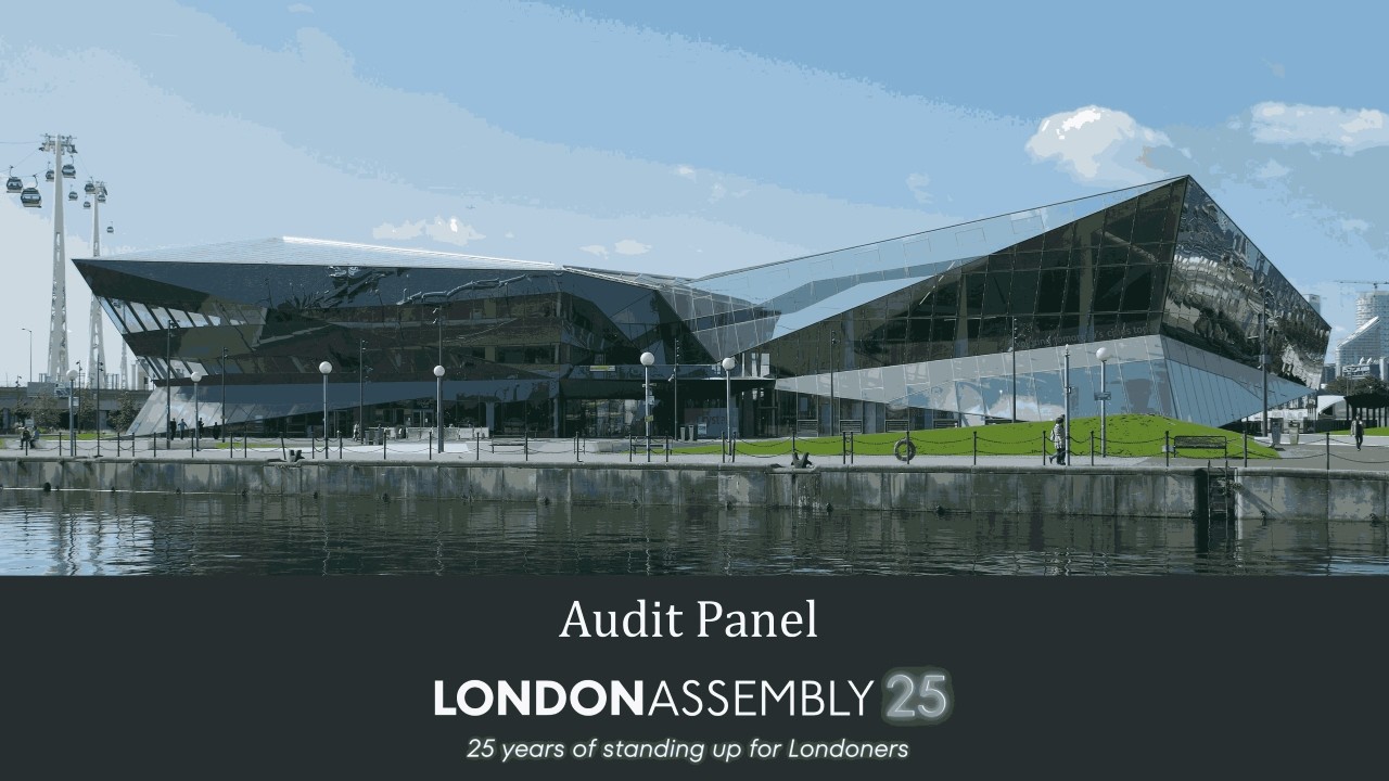 Audit Panel