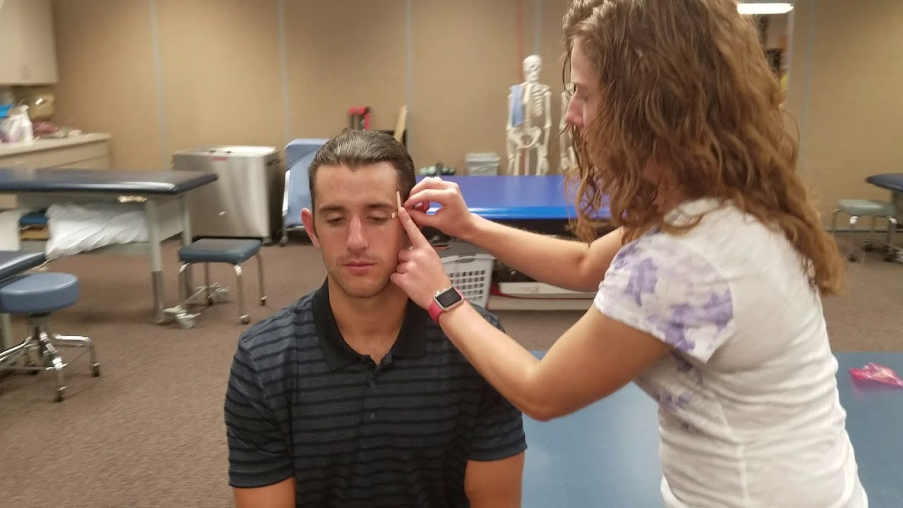 Algometry   Temporalis