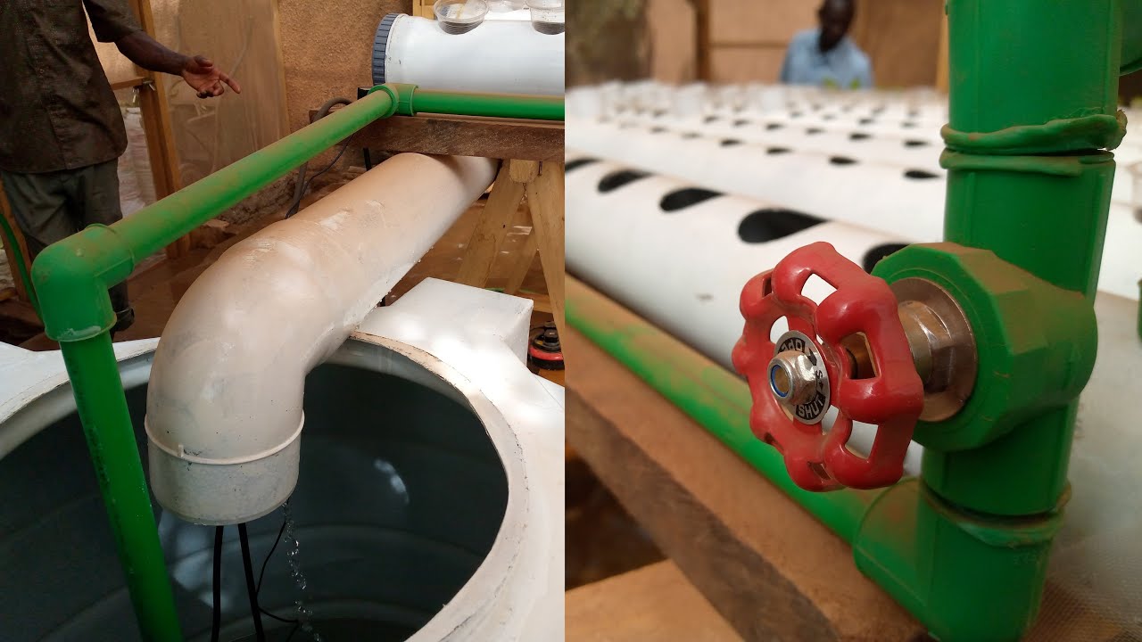 How Water Flow in DFT Hydroponics