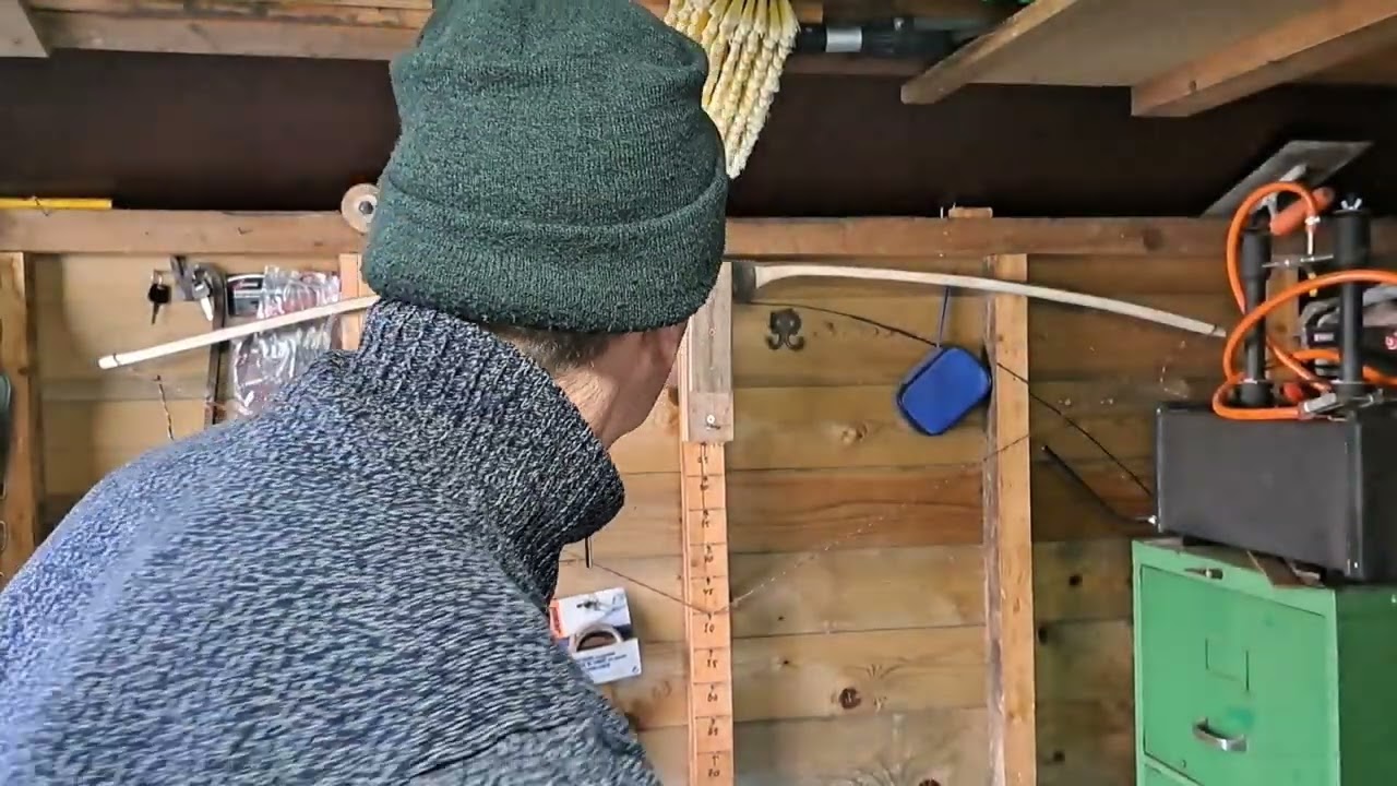 Making a bow from a hazel tree trunk/ Een boog maken van een hazelaar stam