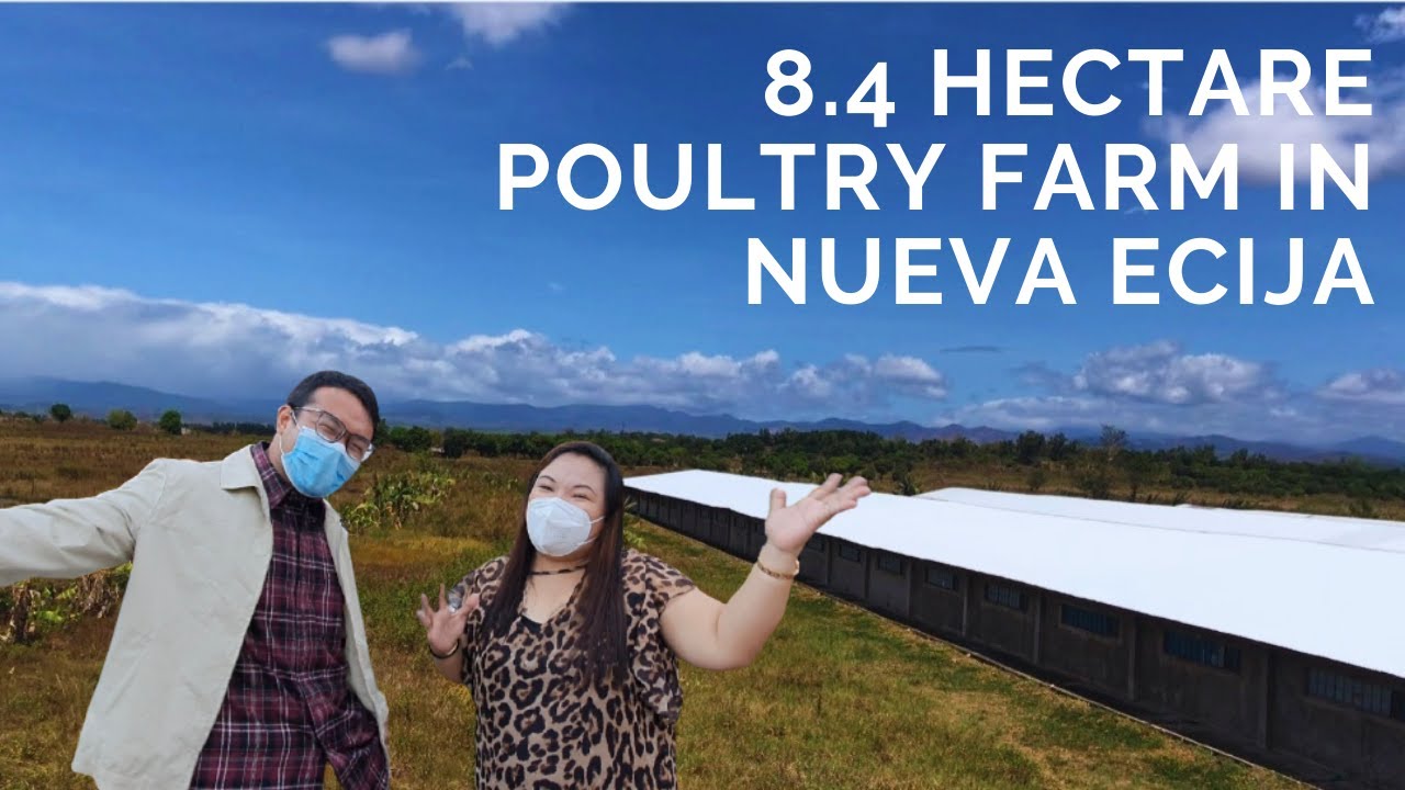 Property Tour #2 | 8.4 Hectare Poultry Farm in Nueva Ecija