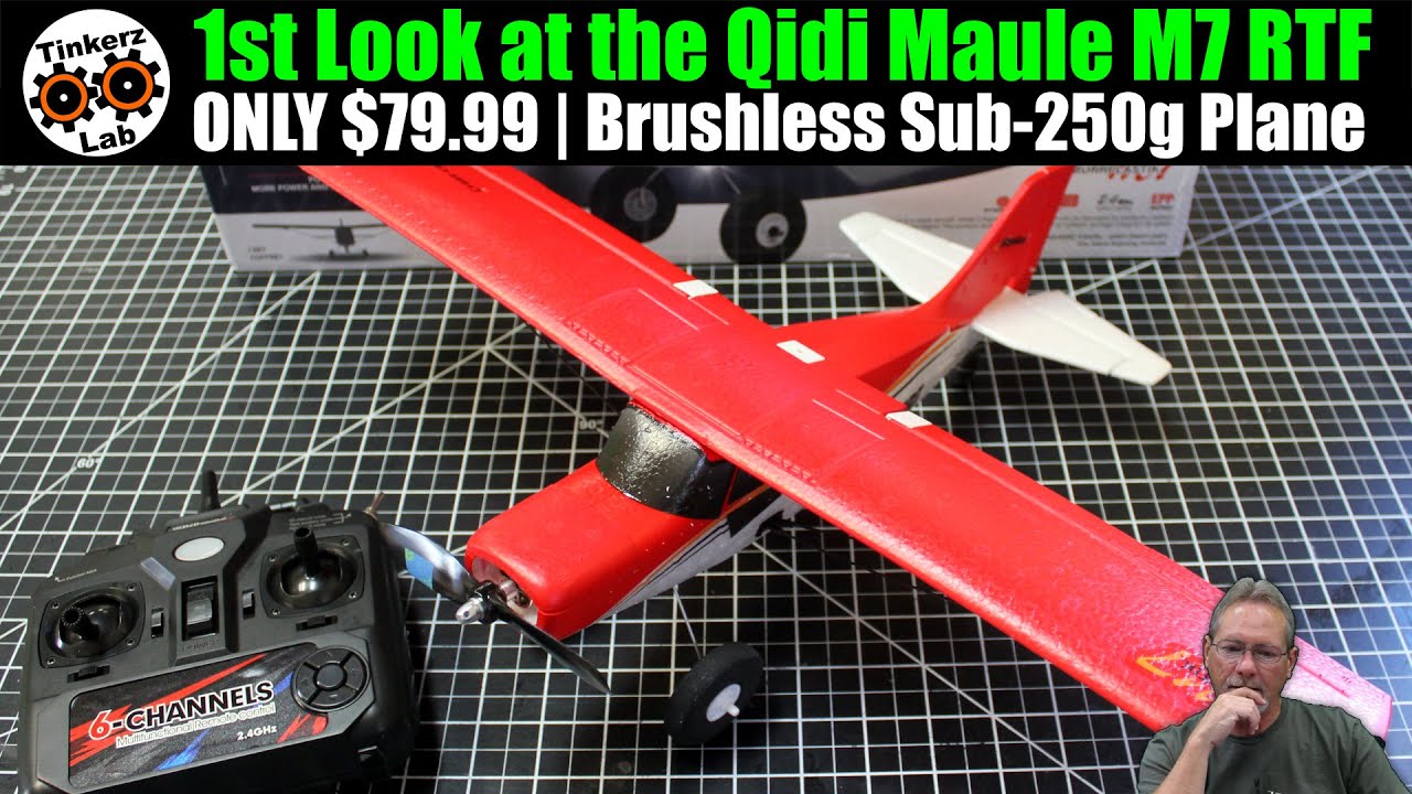 1st Look at this Brushless Sub-250g Bush Plane | ONLY $79.99 and it's a Ton of Fun ;-)