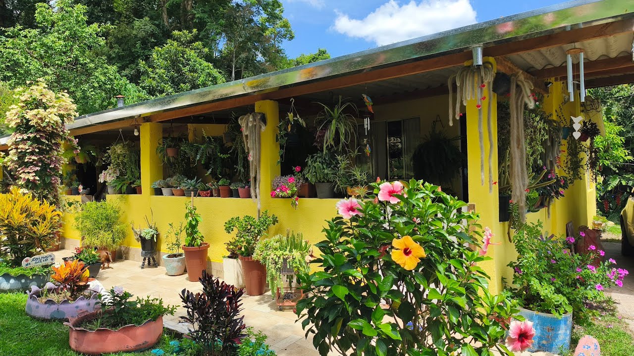 Cada cantinho um encanto 🥰🥰 replantes ❤ novas plantas pra o jardim 🏡😍
