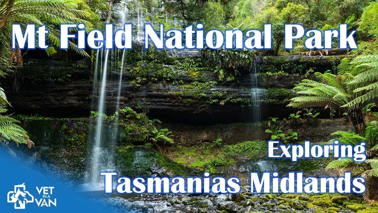 Convict Bridges, Historic Mills & Tasmania’s Most Beautiful Waterfall | Vet in a Van