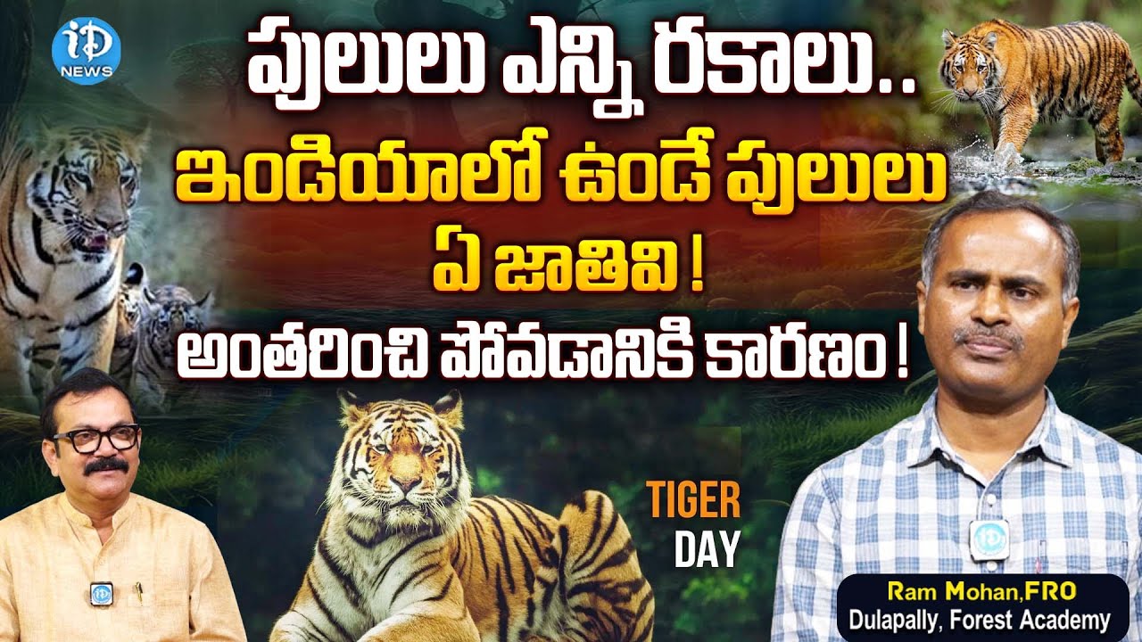 Tigers Day Special Interview With Forest Range Officer Ram Mohan | Crime Diaries | iDream News