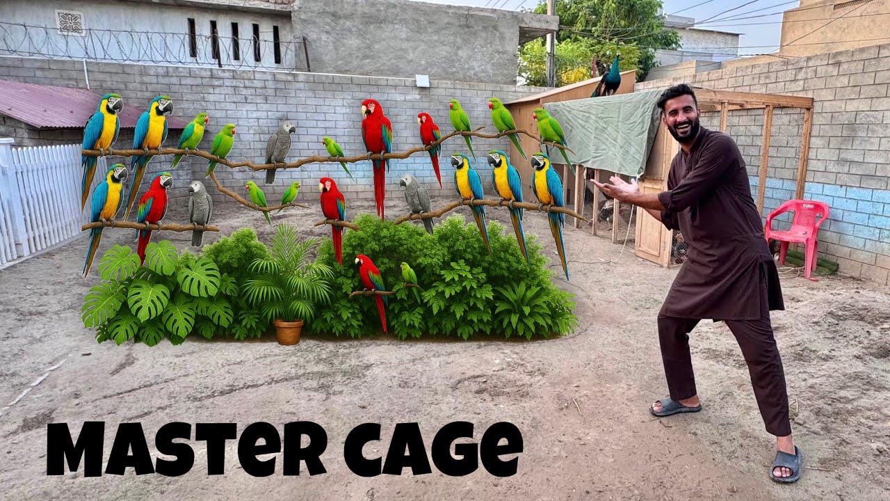 Hum Mini Zoo Main Piara Sa Master Cage Bnwa Rhy Hain😍