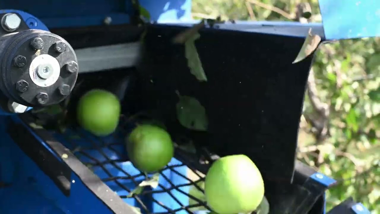 Apple Harvesting with Kokan 600T