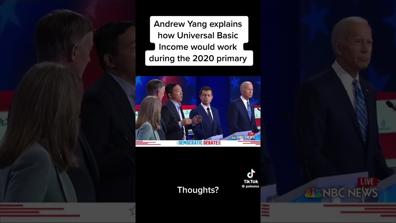 Andrew Yang on Universal Basic Income