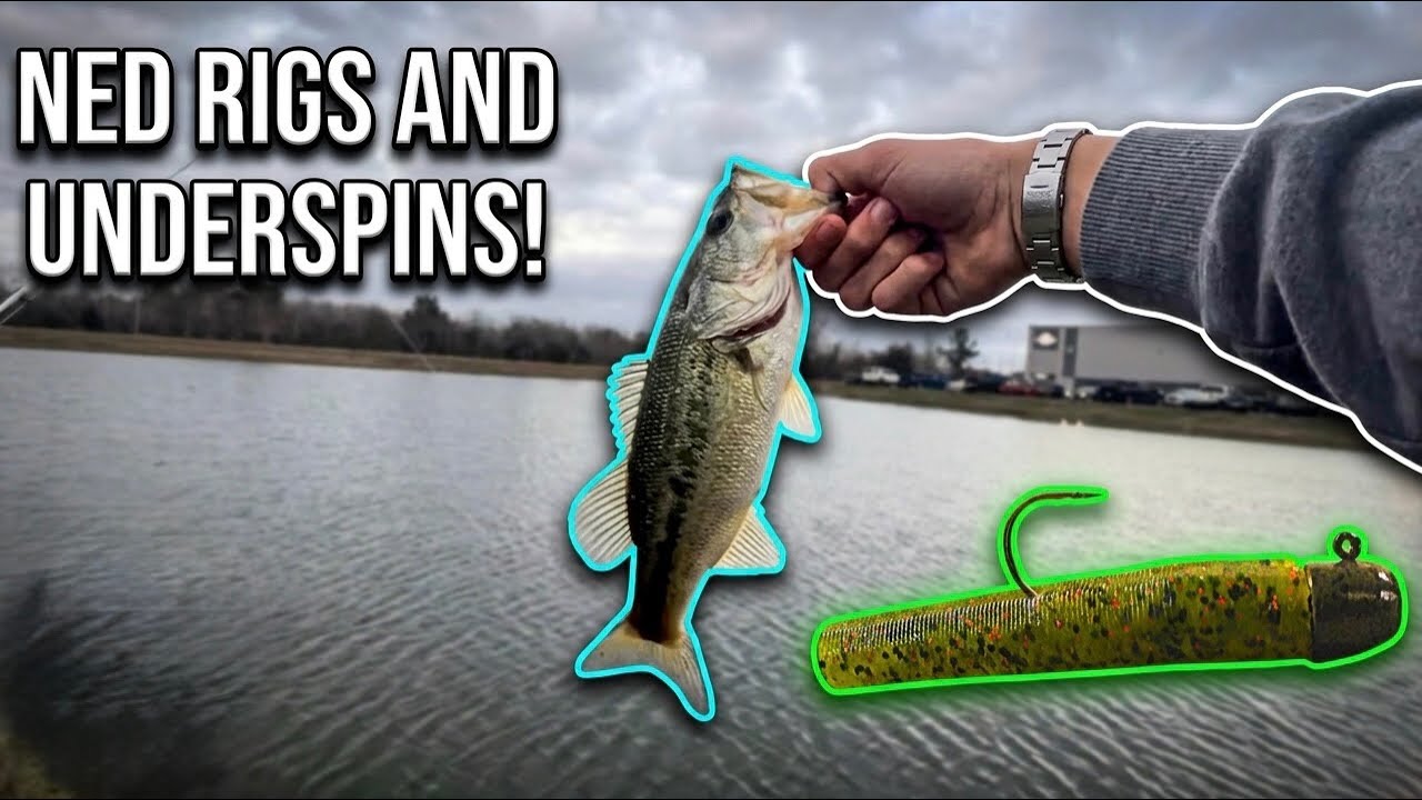 Fish Go Crazy For These Lures! (Texas Largemouth)
