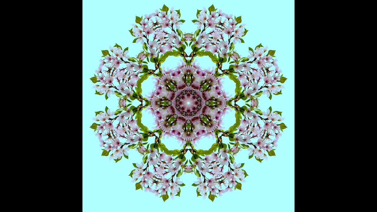 Mandala Slideshow