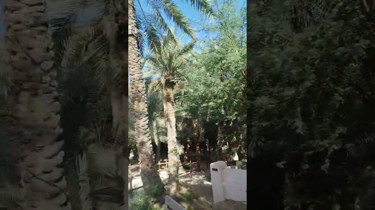at the nature #اكسبلور