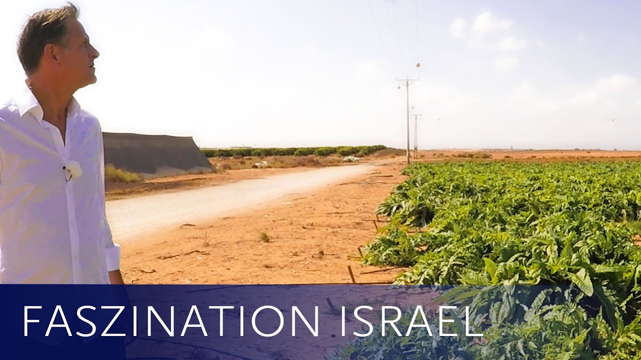 Karg ist der Negev, fruchtbar und grün