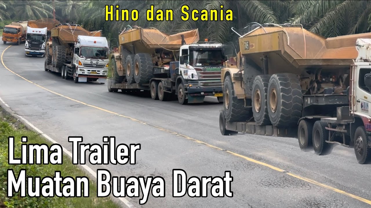 Lima Unit Trailer Muatan Dump Truk Buaya Menanjak Di Bukit Kodok