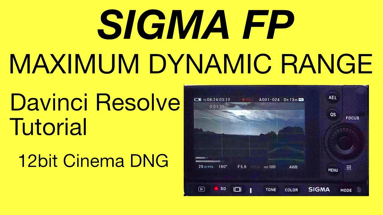How to use the maximum of the dynamic range from the Sigma FP, 12bit cinema DNG