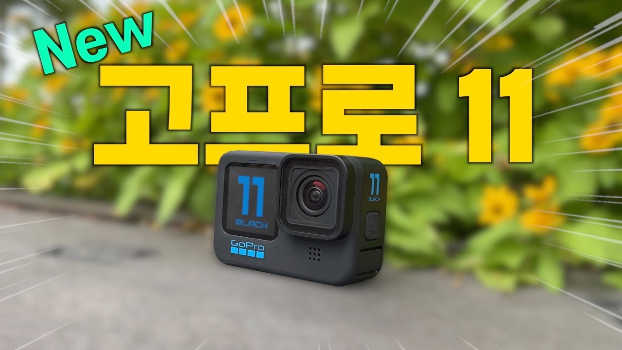 고프로 히어로11 블랙 국내 출시!! 다양한 기능 직접 사용해본 후기 [4K]
