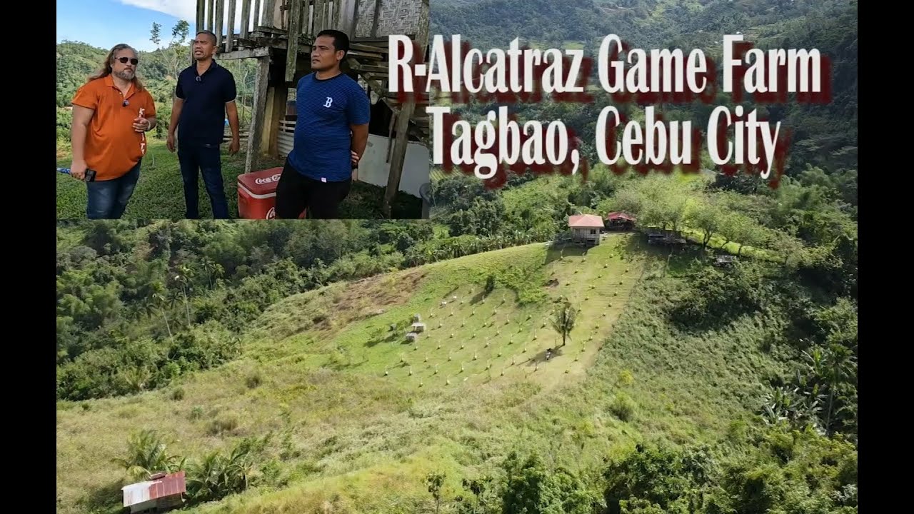 EP681 Part 2: Big Potential na lalaki ang R Alcatraz Game Farm