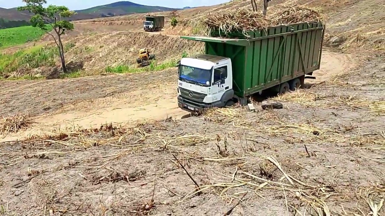CANAL CICERO PRANCHETA DIRETO DÁ FAZENDA HORINTE SANTA MARIA PORTO CALVO AL 28 02 26 👏