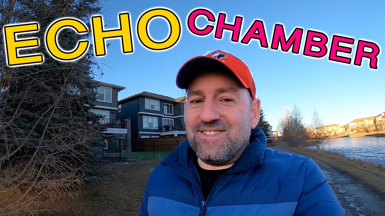 Meaning of ECHO CHAMBER in English