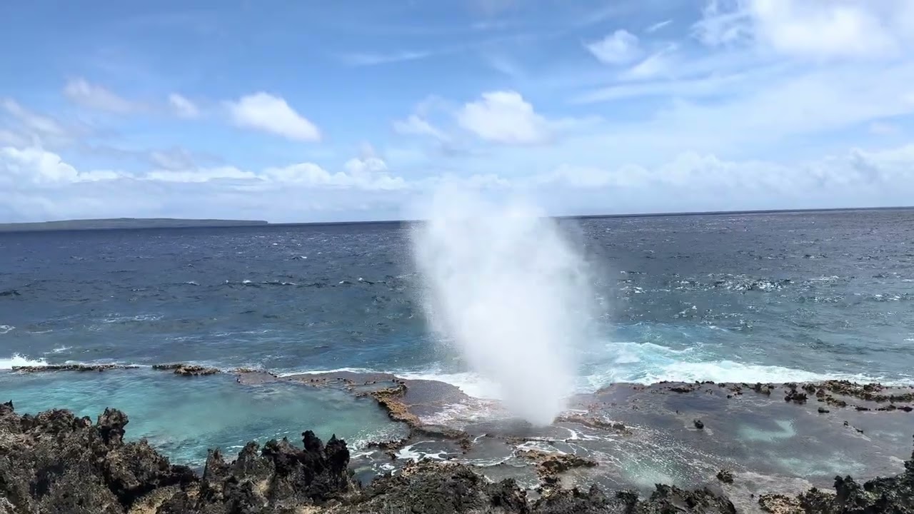 IMG 3713