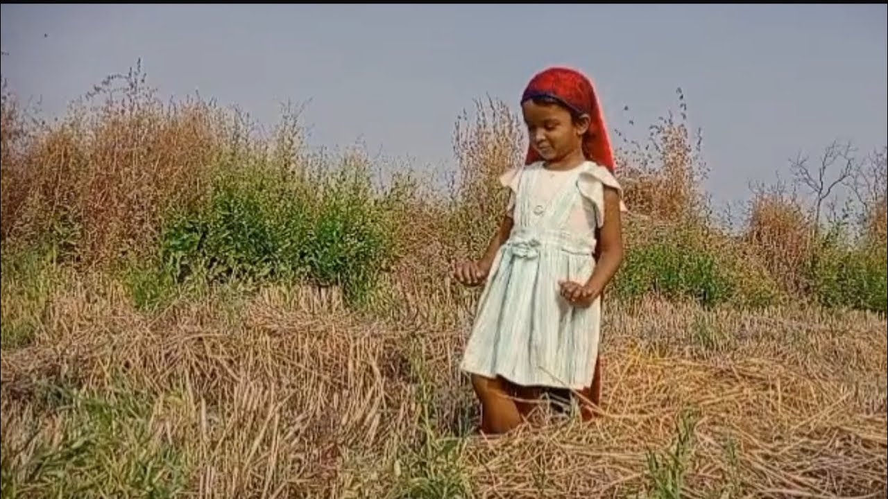 Wartika gayi h khet