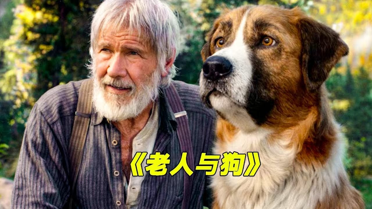 宠物狗被拐到千里之外，一路逆袭成为了自己的主人
