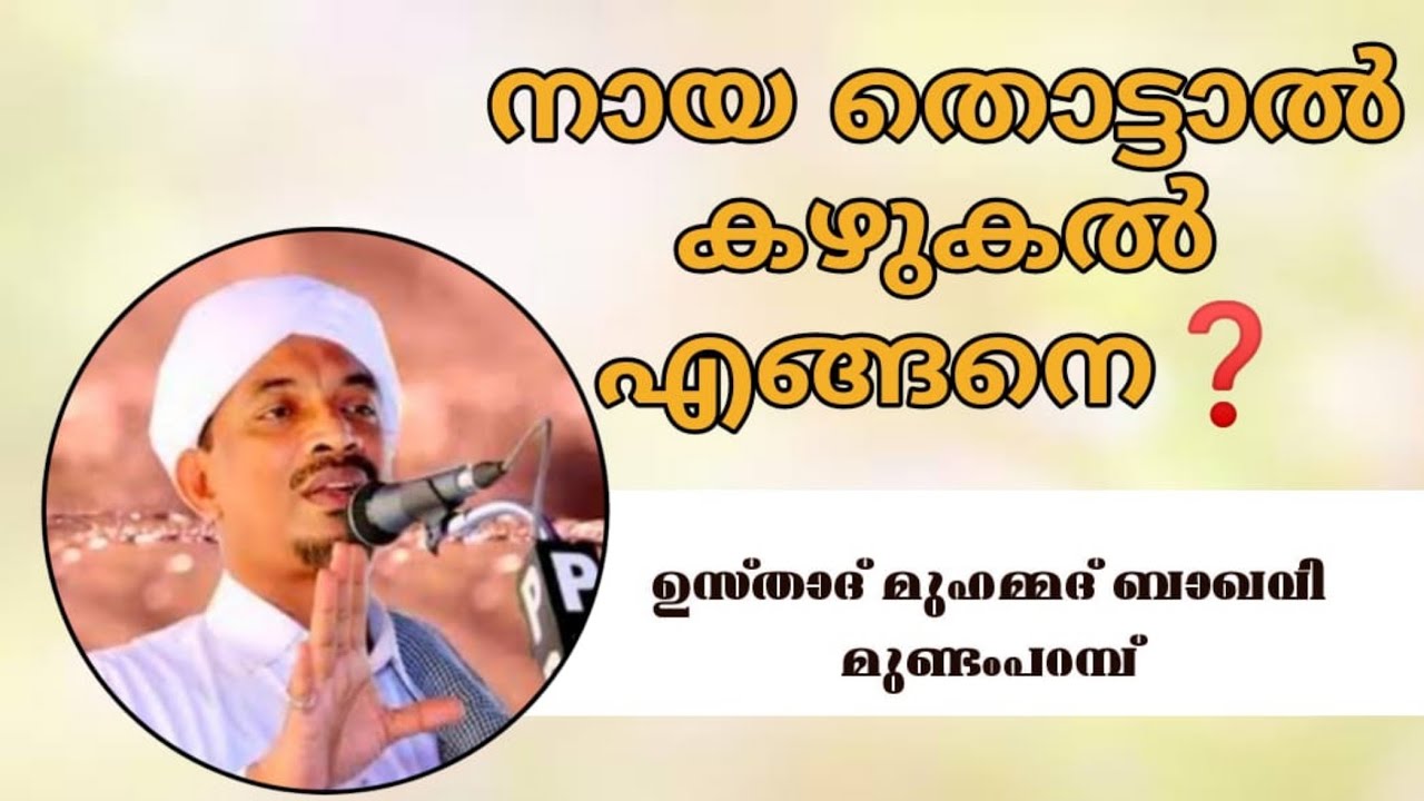 നായ തൊട്ടാൽ  കഴുകൽ എങ്ങനെ❓️ അവതരണം: ഉസ്താദ് മുഹമ്മദ്‌ ബാഖവി മുണ്ടംപറമ്പ്