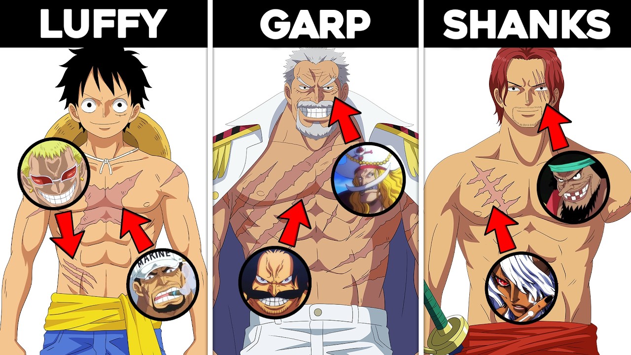 Как персонажи One Piece получили свои легендарные шрамы?