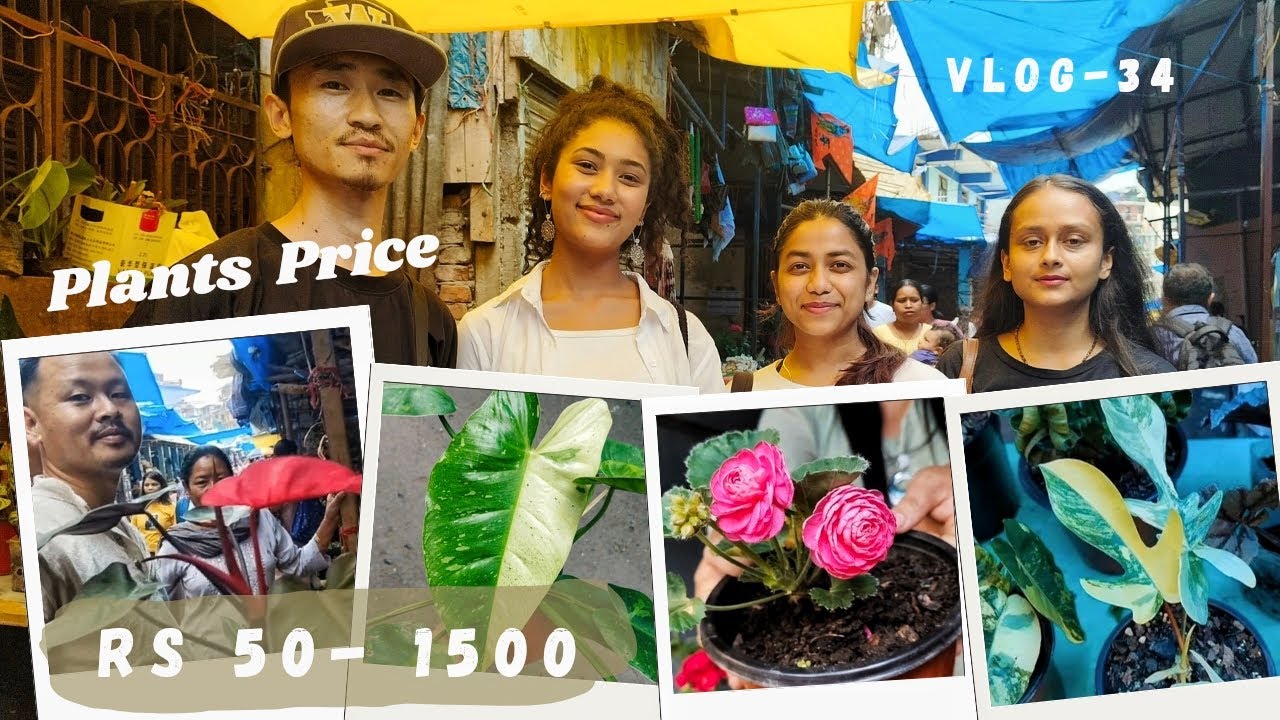 Mentioning The Prices Of Plants 🌿 & 🌷Flowers At Bihibarey Gorkhey Haat Kalimpong || Plant Vlog-34🙃.