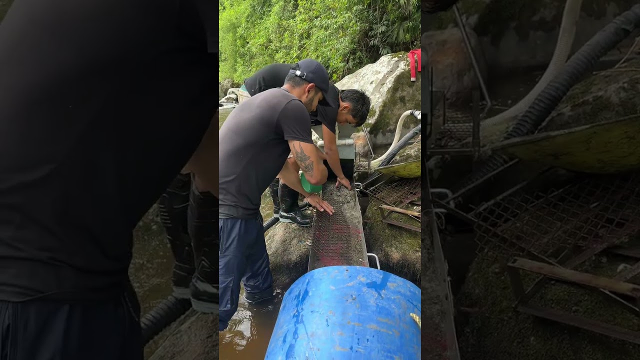 EXTRACCIÓN de ORO dragando en Río 