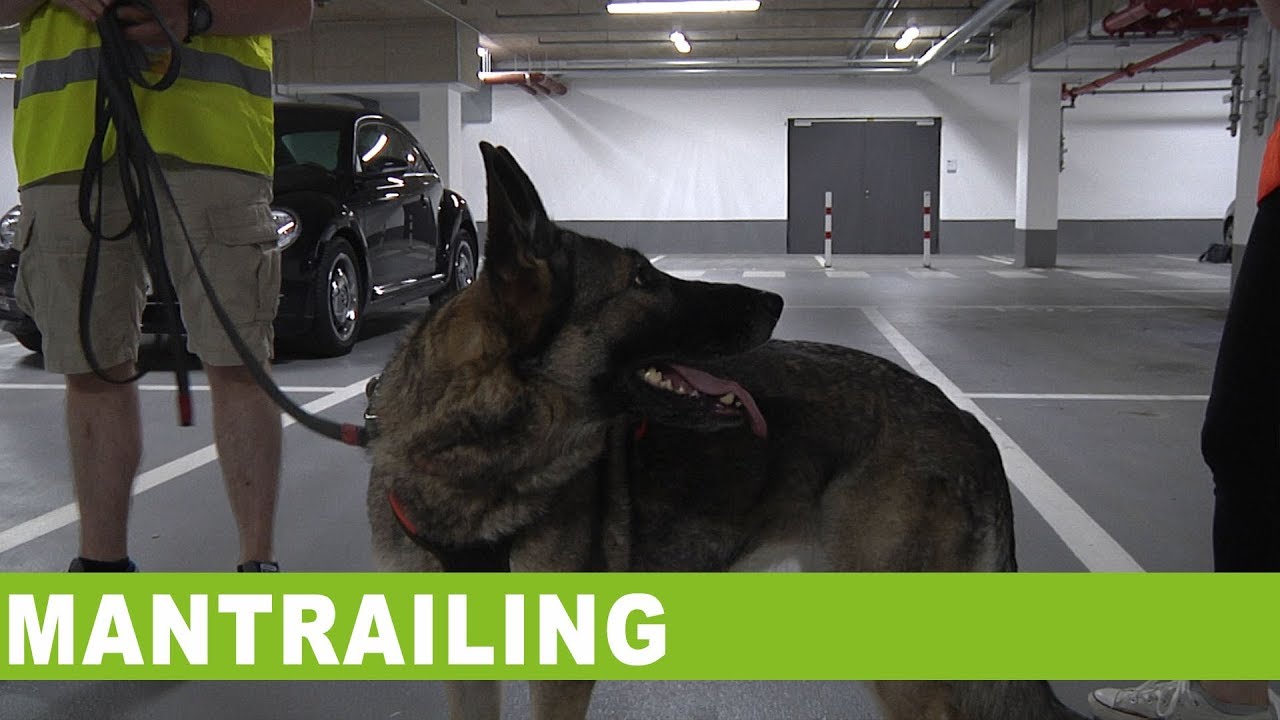 Mantrailing - Campus TV Uni Bielefeld (Folge 123)