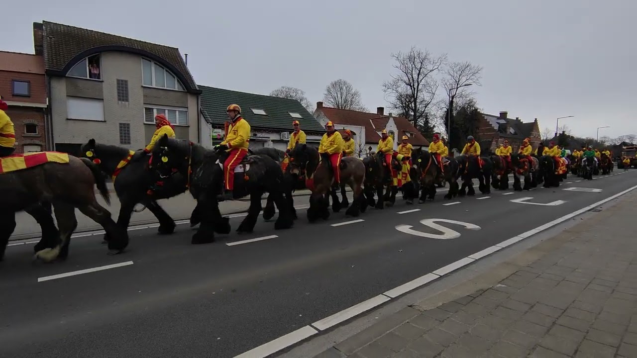 Ganzenrijders stabroek 2026