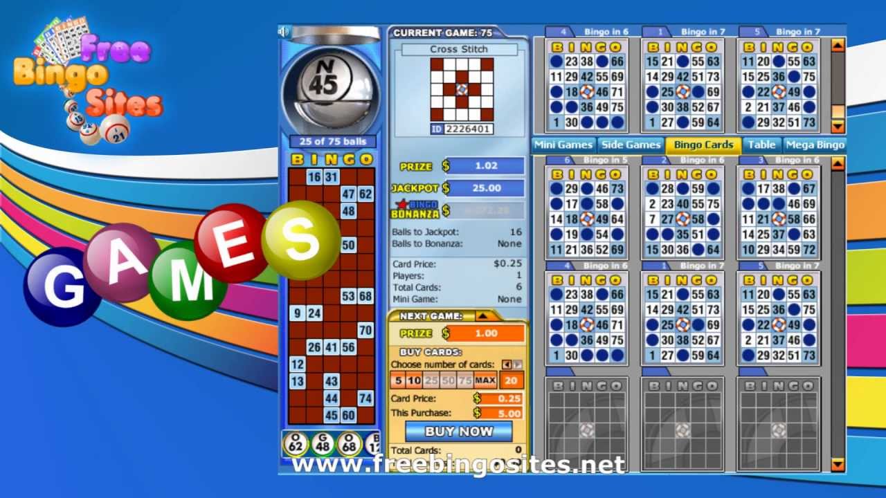 Bingo Liner video review