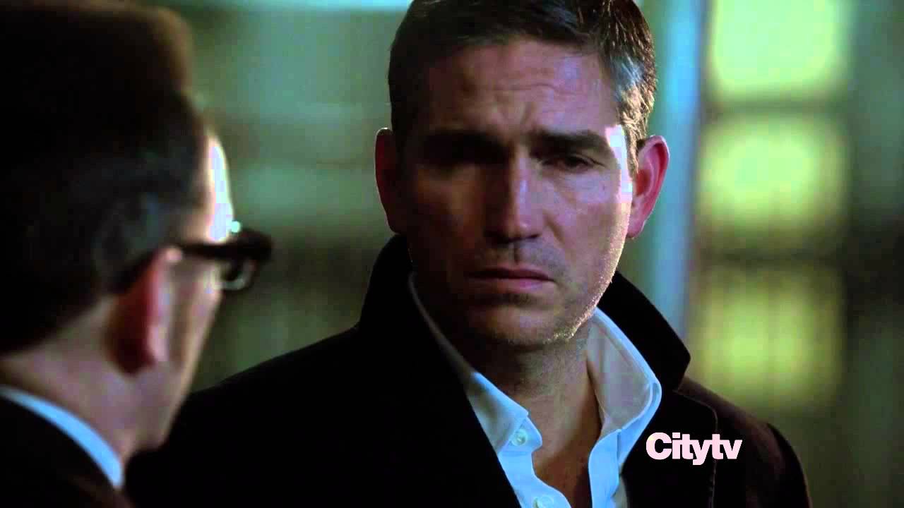 Person Of Interest : Bear's Bad Days