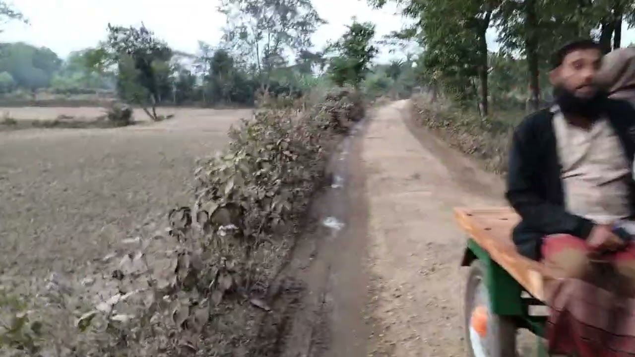 দুঃসাহসিক অভিযান কাঁচা খেজুরের রসের সন্ধানে 