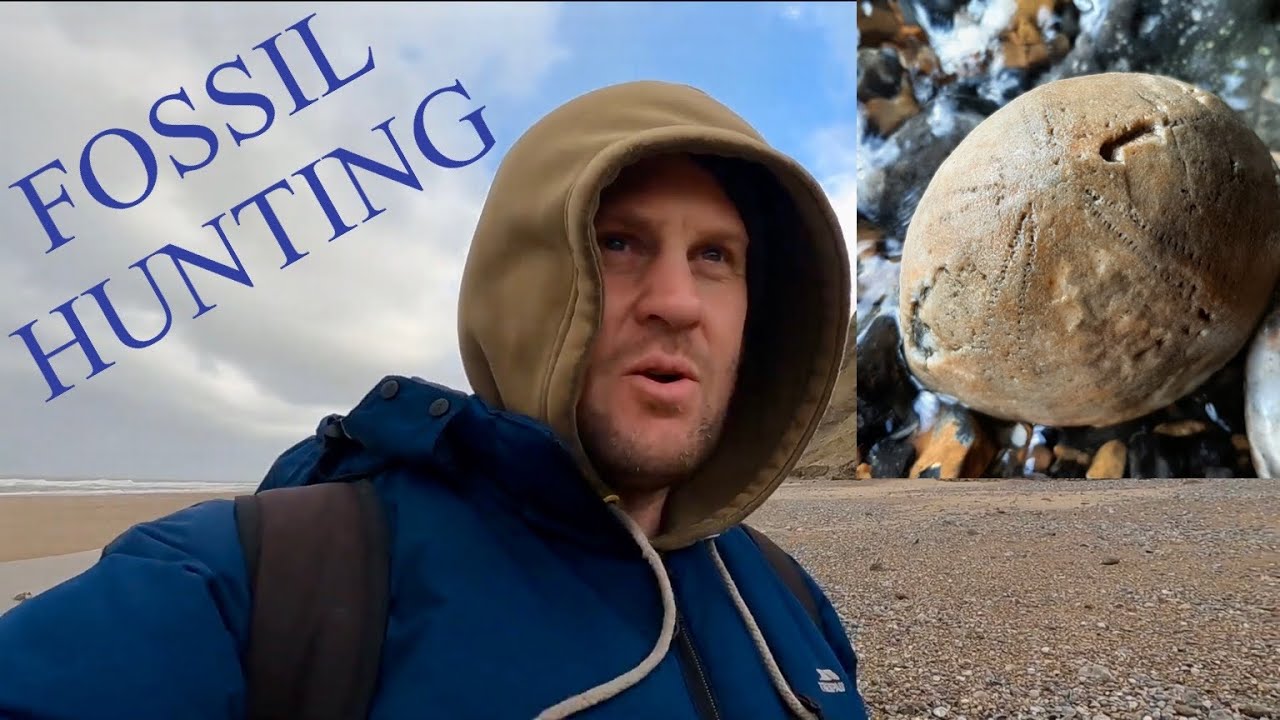Norfolk Fossil Hunting Winter 2021
