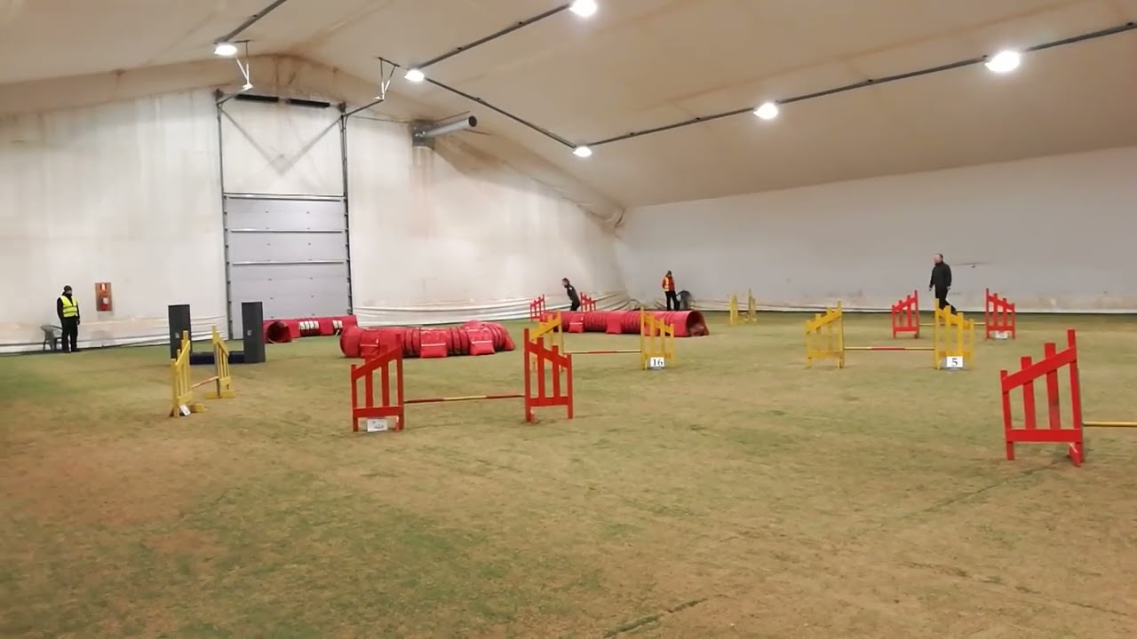 Jyväskylä kisat 11.2017 pertsa