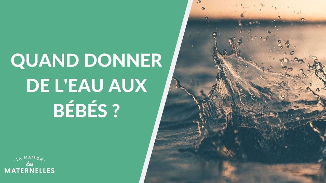 Quand donner de l'eau aux bébés ? - La Maison des maternelles #LMDM
