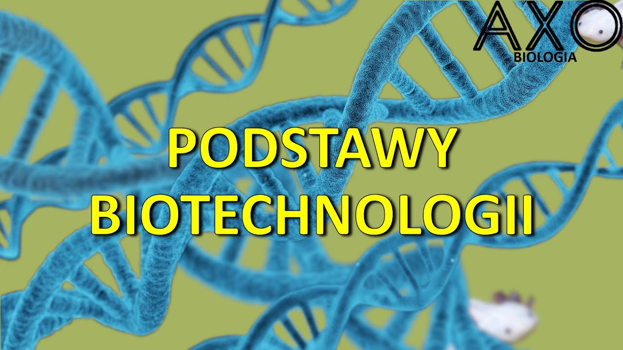 117. Podstawowe techniki inżynierii genetycznej