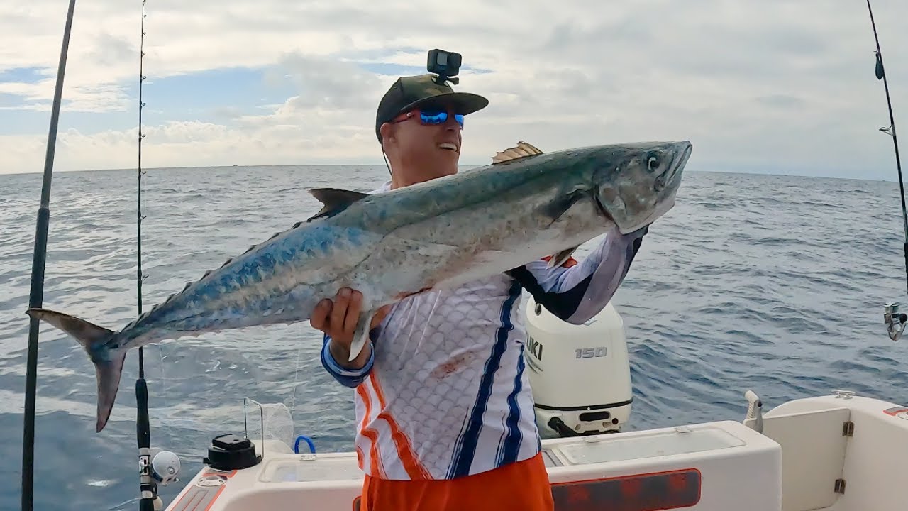 PESCA VARIADA EN ARRECIFES DE LOS CAYOS FLORIDA PESCA Y COCINA!