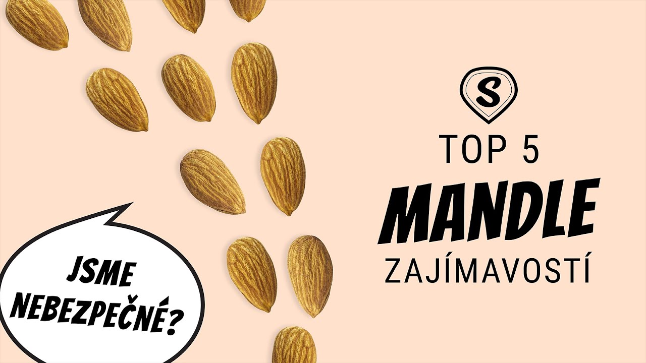 Mandle nen&iacute; ořech! | TOP 5 Zaj&iacute;mavost&iacute; o Mandl&iacute;ch