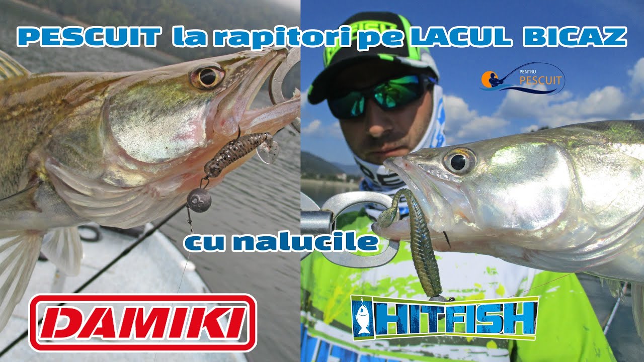 Pescuit la biban si salau pe lacul Bicaz cu nalucile Damiki I-Grub 5.1cm si Hitfish Bleakfish 7.5cm