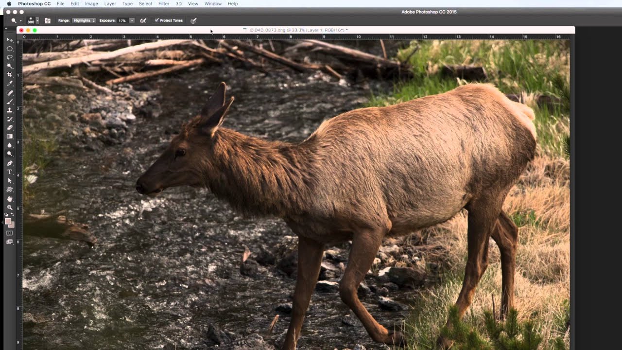 Lightroom Smart Collections