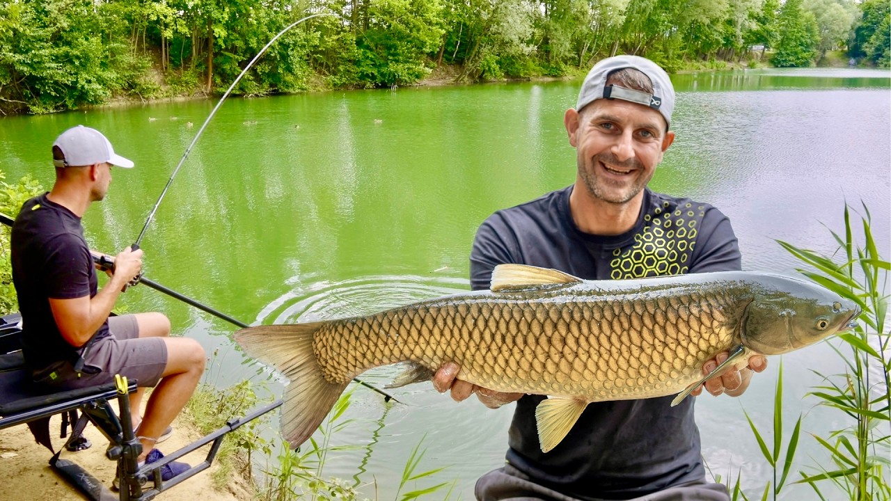 PELLET WAGGLER - na PZW też DZIAŁA! | Bartosz Lelek