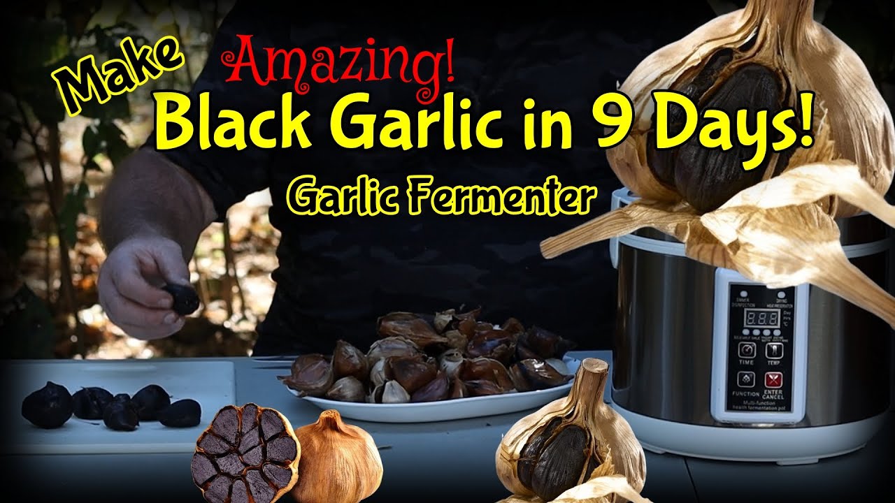 How I Make: Black Garlic in Only 9 Days / It's Amazing!