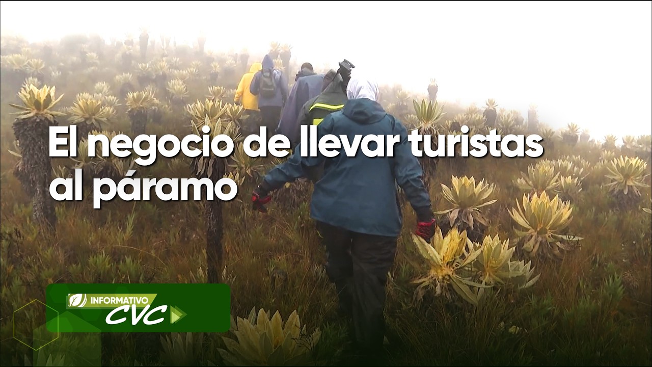 El negocio de llevar turistas al páramo